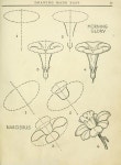 Dibujo estudio botánico tema flor에 있는 Lucía Martínez님의 핀 | 연필 드로잉 강좌, 그림 낙서, 예술 스케치