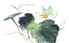 Misc에 있는 Jiaming Tao님의 핀 | 색연필 스케치, 그림, 동양화