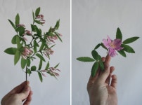 flower&you에 있는 zua kim님의 핀