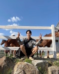 도겸 on Instagram: 요즘말야🐴 in 2022 | Seventeen instagram, Seventeen, Instagram