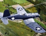 이 무기에 있는 핀