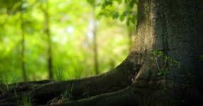 com/foryou/←°】월드카지노 4u카지노 (With images) | Nature wallpaper, Hd nature wallpapers, 4k wallpapers for pc