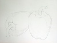 [drawing step by step] Drawing a Paprika - Basic Pencil drawing process 파프리카 그리기 과정 - 기초 연필 데생 드로잉... 