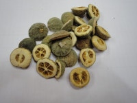 지실,덜익은탱자열매,약초 | 약초