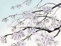 healing에 있는 Raven 🌻님의 핀 | 모션 그래픽, 동화