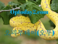 Pin on #분당안마
