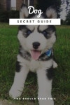 Learn About Caring For Your Dog Here(이미지 포함)