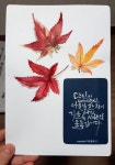 [수채화캘리그라피] 수채일러스트 단풍잎 / 이해인 시 나뭇잎 러브레터(이미지 포함) | 나뭇잎, 손글씨, 그림