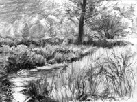 Pencil Sketches of Nature Scenery | Pencil Sketch Scenery Pictures | 스케치