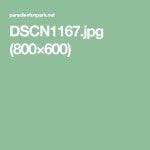 DSCN1167.jpg (800×600) | 보트