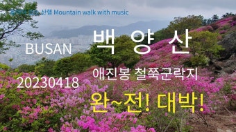 부산 백양산 애진봉 철쭉 대박!! 20230418 / 메르카단테 플루트 협주곡 마단조 1악장 - YouTube - 2023 | 부산, 플루트, 여행