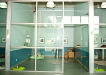 Own my own luxury dog hotel. | 강아지, 애견
