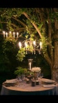 Cozy and intimate garden design | 정원 가꾸기, 코티지 가든, 실내정원