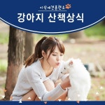 이삭애견훈련소 / 초보 견주를 위한 강아지 산책 상식안녕하세요, 이삭애견훈련소입니다! 강아지들에게 산... | 강아지, 동물, 춤 동작
