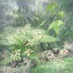 Cheng Chen-Wen Painting - 2021 | 수채화