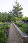 Susan Cohan Gardens  Lee Hill | 정원
