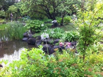 Yeomiji Botanical Garden in Jeju Seoguipo Joogmoon(제주 서귀포 중문) | Jeju island, Plants, Jeju
