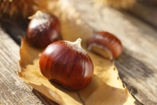 군밤에 있는 충훈 김님의 핀