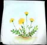 천아트 입문반 민들레, 코스모스, 엉겅퀴/천아트 전문반 제비꽃... 풀잎문화센터]천아트배우기 야생화그리기 : 네이버 블로그 in 2020... 