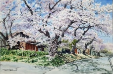 sulim kim watercolor painting - 2023 | 수채화