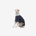 TERRY HOMEWEAR [NAVY] - 2020 | 강아지 옷, 강아지, 제품