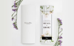 주식회사 디자인나스강남점 | :: Design Nas :: | 디자인