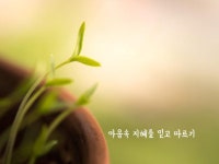 마음속 지혜를 믿고 따르기 | 꽃, 명언