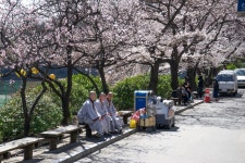 동국 동국해요(이미지 포함)