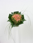 Bouquet | 꽃다발, 꽃꽂이