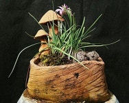 flowerpot에 있는 terra cotta님의 핀