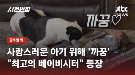 바쁜 주인 대신해 까꿍!…아기 돌보기 고수 강아지 등장 / JTBC 사건반장
