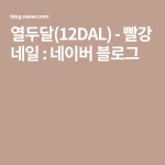열두달(12DAL) - 빨강 네일 : 네이버 블로그 - 2020 | 음악, 여행, 블로그