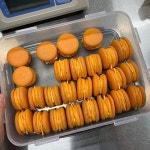 전라도 광주 수제빵집 배리스키친 (@baelys_kitchen) • Instagram photos and videos | Pumpkin, Food, Vegetables