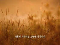새롭게 시작하는 오늘에 감사하라