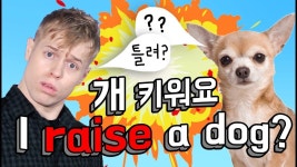 개 키워요’ 설마 I raise a dog 라고 하세요? - YouTube | 개, 애완동물, 영어