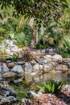 Ponds & Water Gardens - Koi Ponds, Water Gardens & Landscapes | 연못