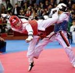 Pin by Guy Chilly on 싸움 | Fighting poses, Action poses, Taekwondo