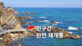 여행에 있는 핀