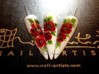 one stroke poppies nail art | 네일