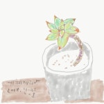 신양호님의 Instagram 게시물 • 2018 8월 16 10:10오전 UTC