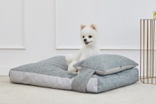 NTPET 니즈더펫 | 디자인