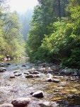 Beautiful mountain stream, Northern California | 사진, 나무