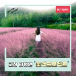 정원의 가치공유 및 지역강화 고창 핑크뮬리 축제  고창 팜정원 꽃객프로젝트 - 2020 | 축제