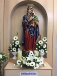 Catholic에 있는 Rose Hi님의 핀 | 꽃꽂이