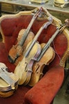 violins | 바이올린