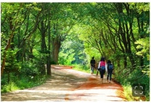 풍경에 있는 김현경님의 핀 - 2023 | 수채화 풍경