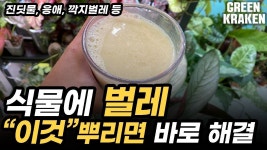 식물키우기 팁에 있는 핀