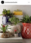 Pin by 새롬이 on Flower | Plants, Flower pots, Diy pots