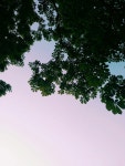 OGQ(오지큐)(이미지 포함)
