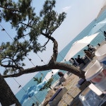 노키즈존이 자신에겐 억울한 8살 #Busan#wave on #기장#카페#웨이브온#sea#다해#다해랑… | Trading strategies, Forex trading